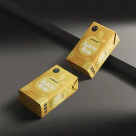 Small Cardboard Juice Box 4